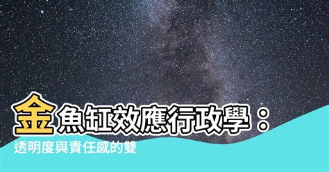 金魚缸效應行政學|金魚缸效應：行政改革新方向